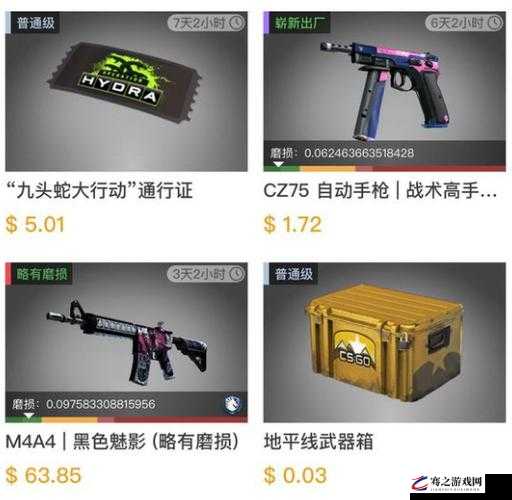 解析CSGO九头蛇大行动通行证，功能、用途及对游戏体验的影响