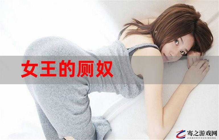 被女王支配的厕奴：性与权力的交织