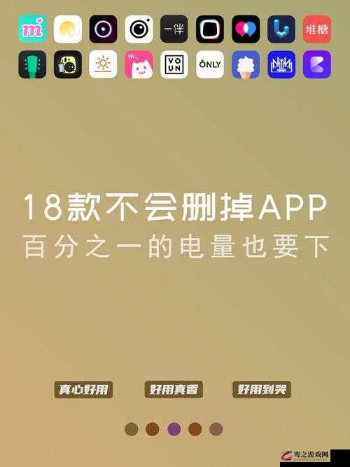 十八款夜间禁用 APP 苹果版：探寻其背后的禁用原因与影响