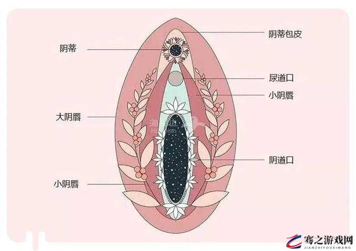 ：成熟女性的私密舔舐：探索性爱的极致体验