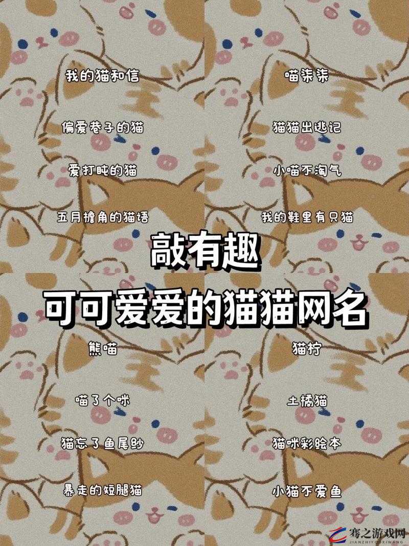 猫咪成人地域网名怎么取：探索成人领域的独特魅力