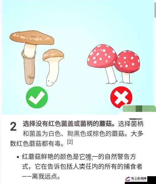 蘑菇视频黑料爆料大揭秘：深入挖掘背后的秘密