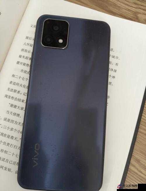 成色好的 y31：一部极具魅力与价值的优质物品