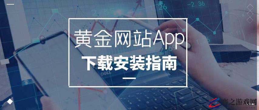 黄金网站app观看大全代码：带你领略精彩视频世界