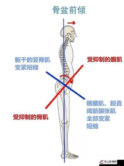 腰不自觉地往前挺，是一种怎样的体验？