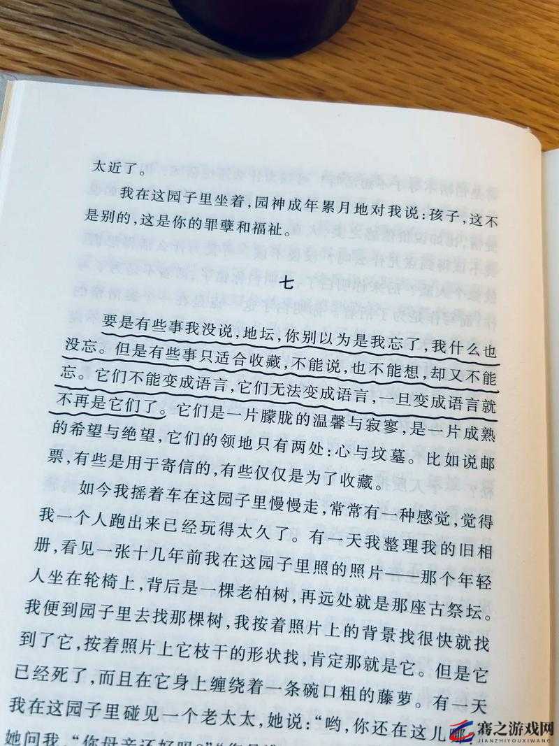 觐见国王，未竟任务与命运纠葛交织的传奇历程