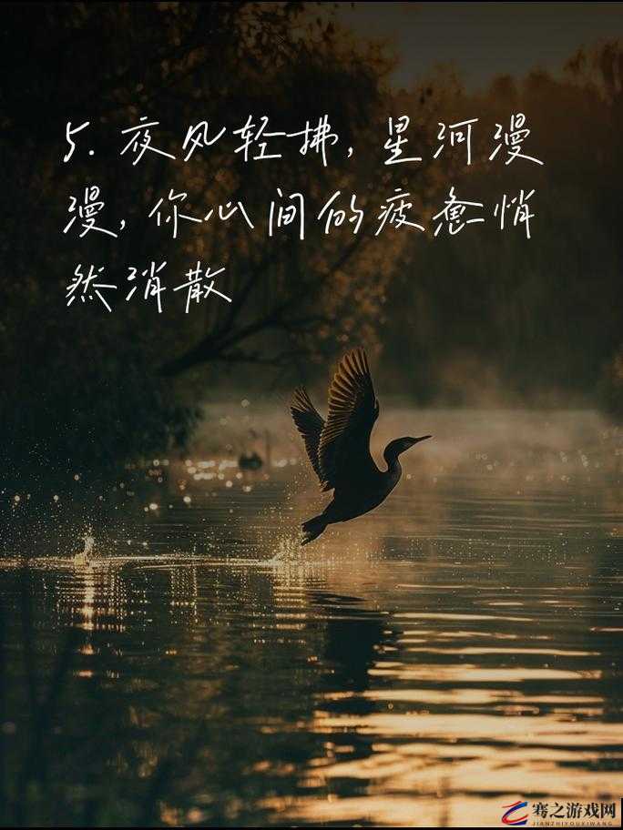 深夜释放自己：在静谧中寻找真实的自我与心灵的慰藉