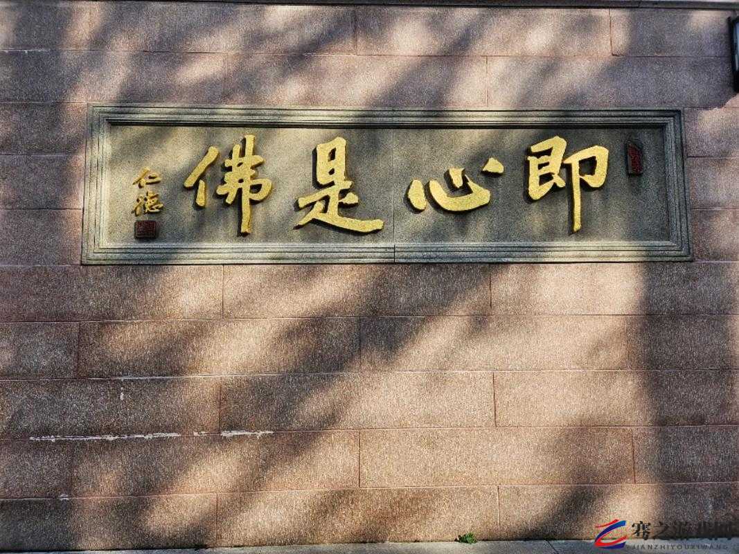 师父不可以限弥弥合欢宗：探寻其中的奇妙与深意