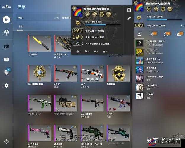 CSGO大师级守护者，展现顶尖实力，荣耀加冕的尊贵象征