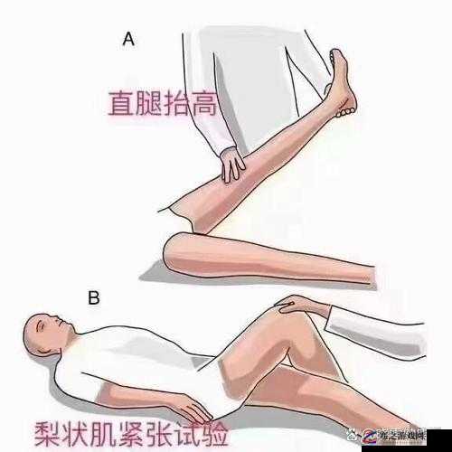 把腿抬高放墙上腿很麻怎么回事：探寻背后的科学原理