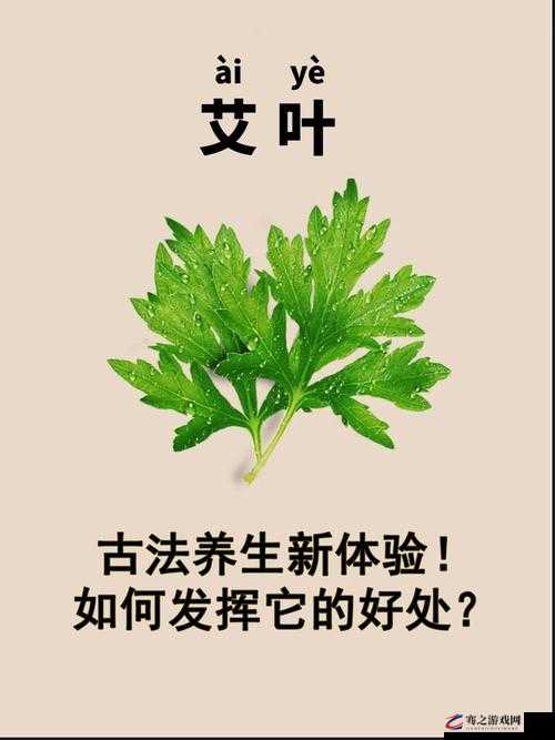 绑定挨草系统后带来的全新体验与变革