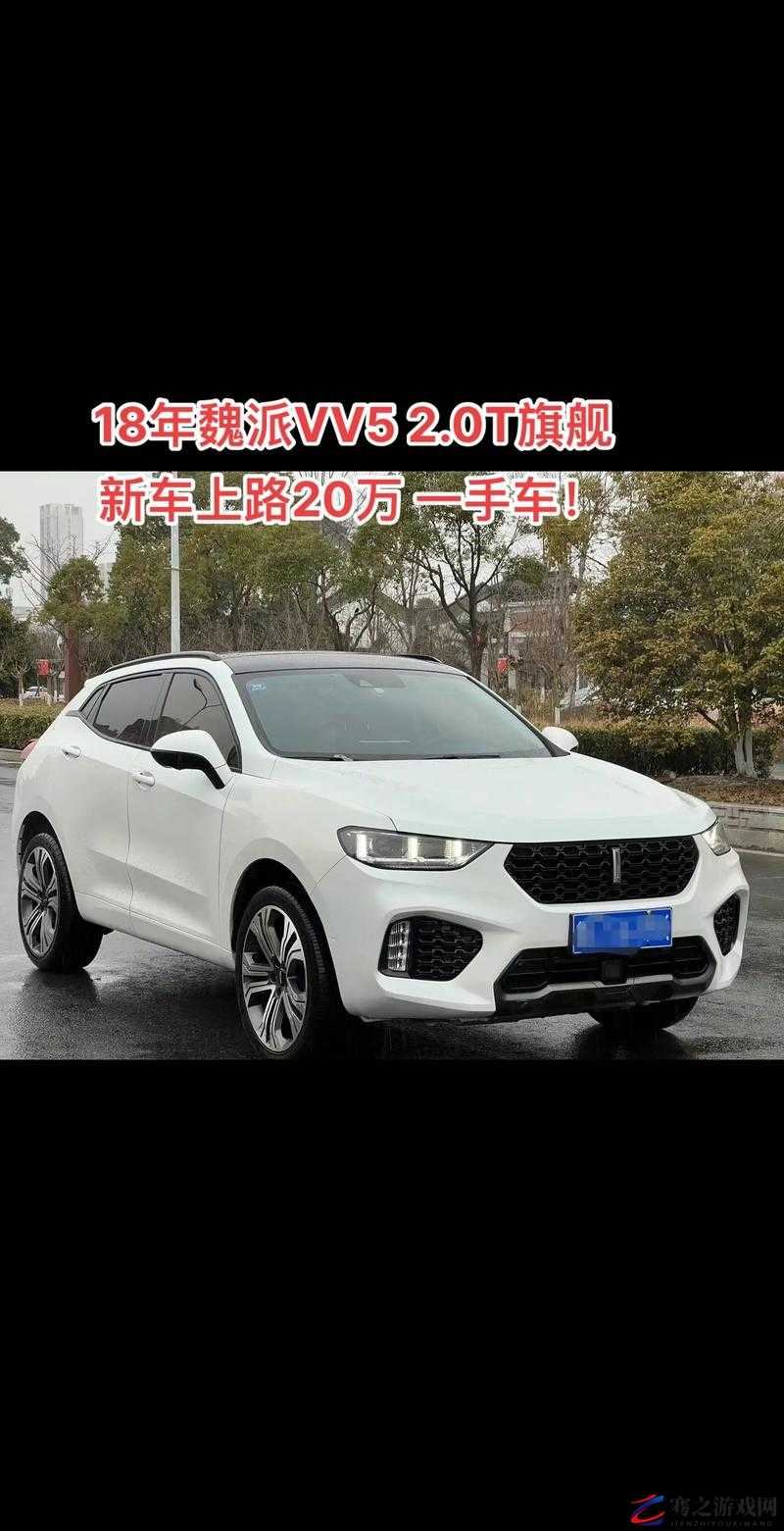 WEY VV5 国产 SUV 性能究竟如何全面剖析