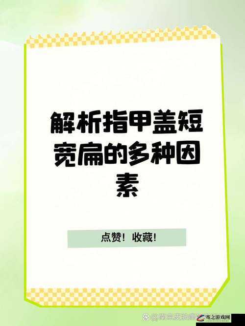 无人一区二区区别是什么还是没有修复网友：深入探讨其背后的故事与意义