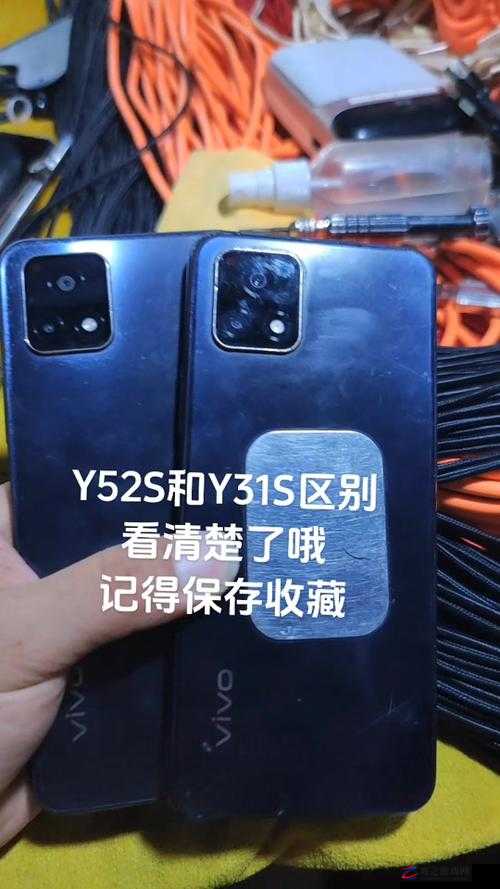 成色好的 y31s 标准版官网：带你了解该手机的详细信息与优势特点