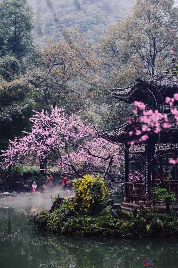 春景如诗，桃花流水芳草萋萋