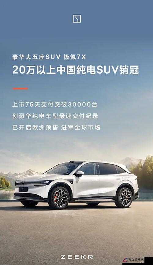 497799 欧洲版的国产 SUV 高性价比性能逆袭：引领汽车市场新潮流