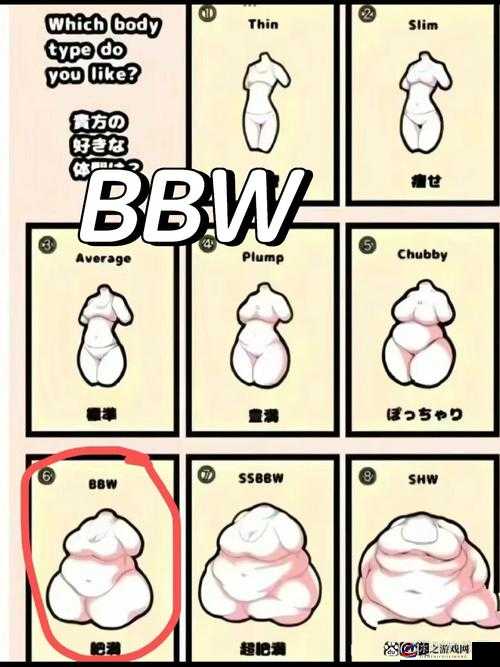 BBWBBWBBWBBWBBW 以及其背后的深刻含义与相关探讨