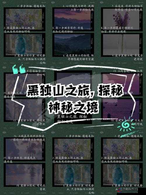 日韩无人区码卡二卡 3 卡：独特神秘之境探秘