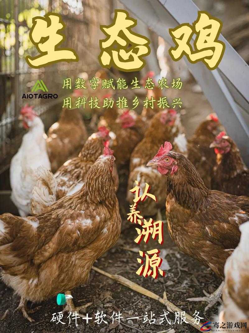 超级肉禽系统体验：开启全新的肉禽养殖之旅