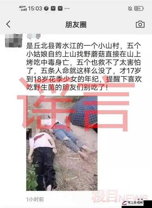 蘑菇黑料爆料事件视频引发全网热议众说纷纭