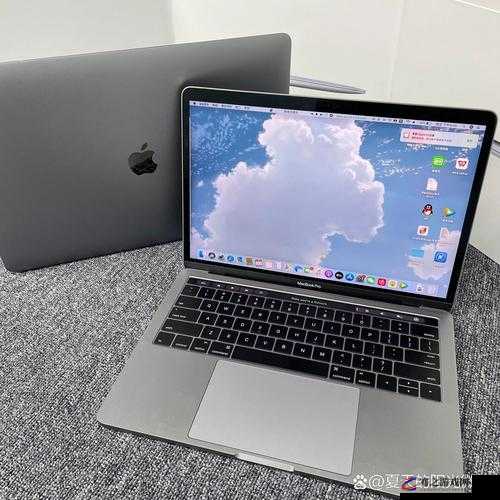 中国MACBOOKPRO 高清在线观看：带你领略极致视觉体验