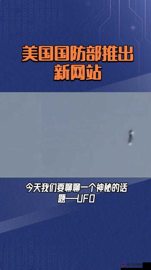 神秘网站 5 个代码背后的惊人秘密：揭示不为人知的真相