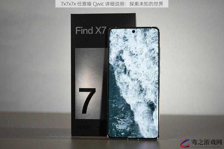 7X7X7X7X7X7X：探寻其背后的神秘规律与价值