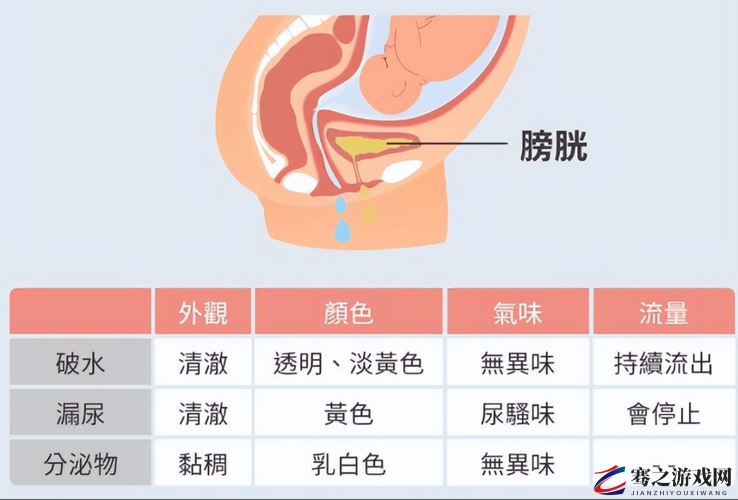 人类进入羊水门的奇妙探索历程