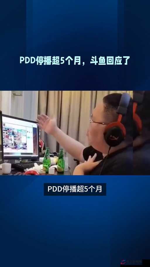 斗鱼主播 PDD 疑似被劝退：背后原因引发众人猜测与热议