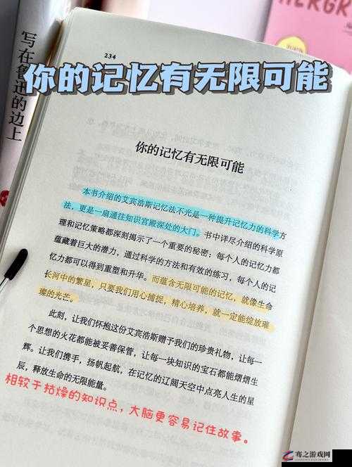 你能塞多少佛珠啊：探索无尽的可能性