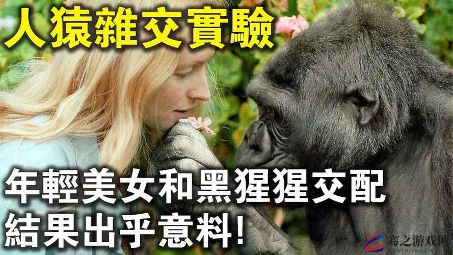 震惊竟有人与人與動物牲交的行为？