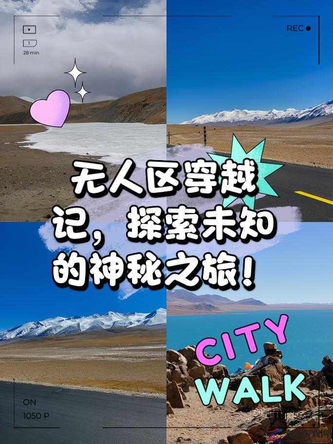 无人区码一码二码三码：探索未知的神秘之旅