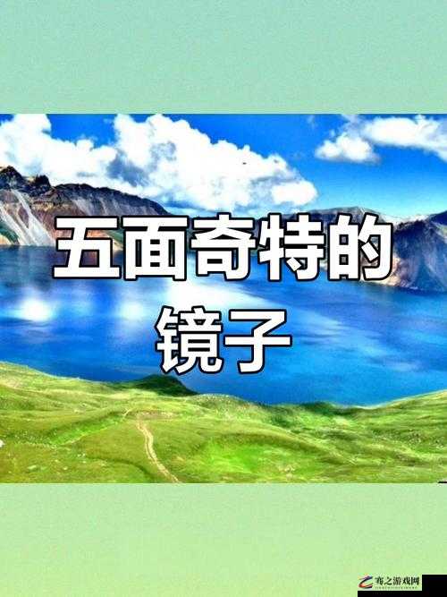 镜子里的针锋相对：探究自我与世界的奇妙碰撞