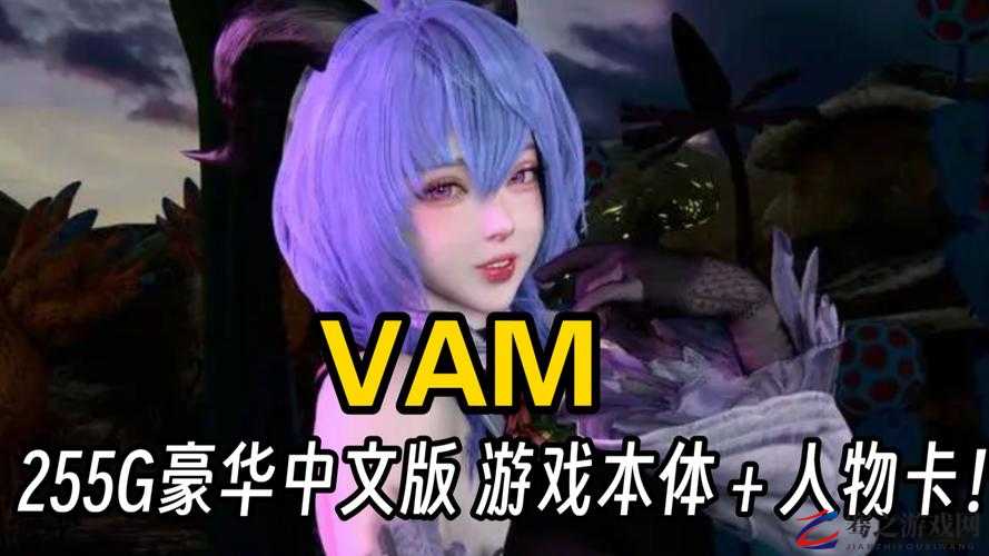 vam 成品游戏网站入口：畅享精彩游戏世界