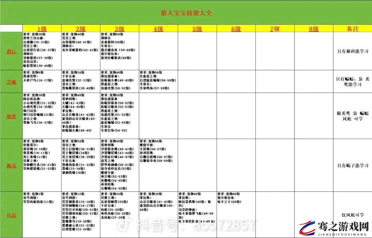 魔兽世界怀旧服全面等级解析，从1级到60级的成长之路与策略指南