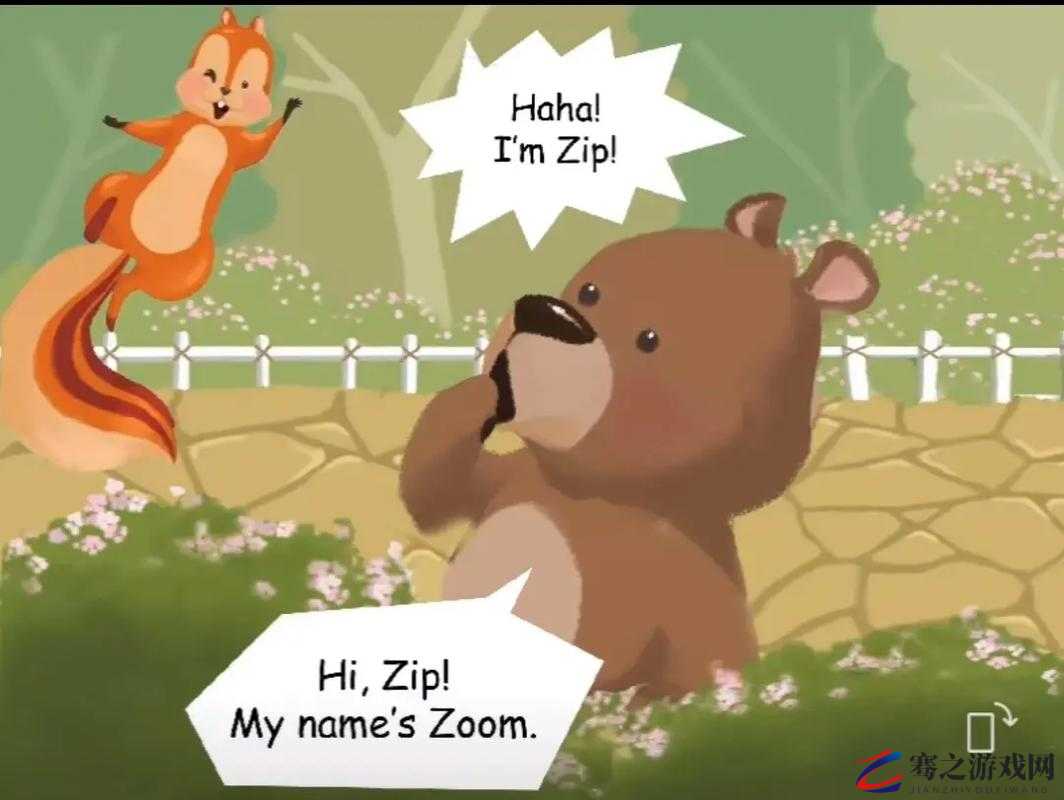 ZOOM 人与 ZOOM：探索其背后的奥秘与意义