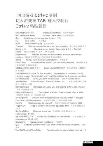 方舟生存进化手机版，探索代码输入的无限可能，开启奇妙游戏之旅