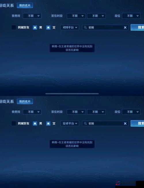 王者荣耀加好友功能失效原因深度剖析及实用解决方案汇总