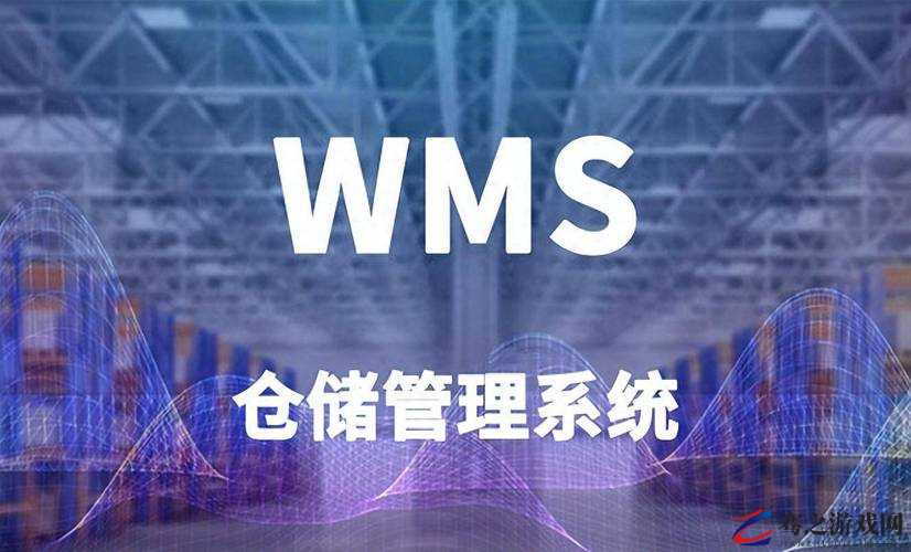 wms 仓库管理软件助力企业仓储管理智能化升级与高效运营