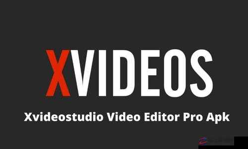 xvideos 官网：探索精彩视频世界的绝佳平台