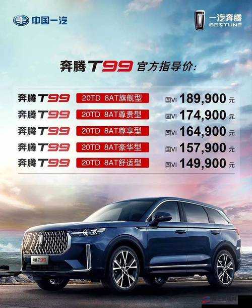 国产 SUV 精二区 69 怎么样：深度剖析其性能与优势