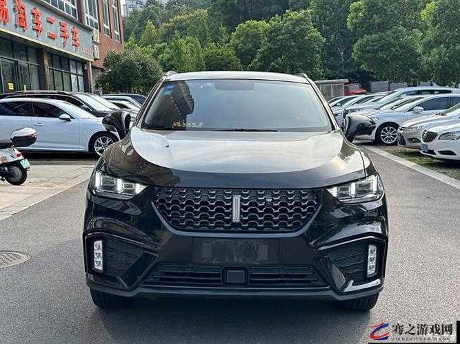 weyvv5 国产的 suv 视频：全方位展现其卓越性能与独特魅力