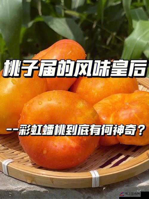 桃子移植像素侵犯的后果和影响：对行业及法律秩序的冲击