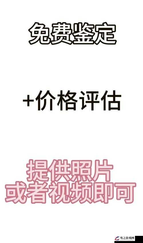 鉴定师 app 免费网站：专业鉴定服务的便捷之选