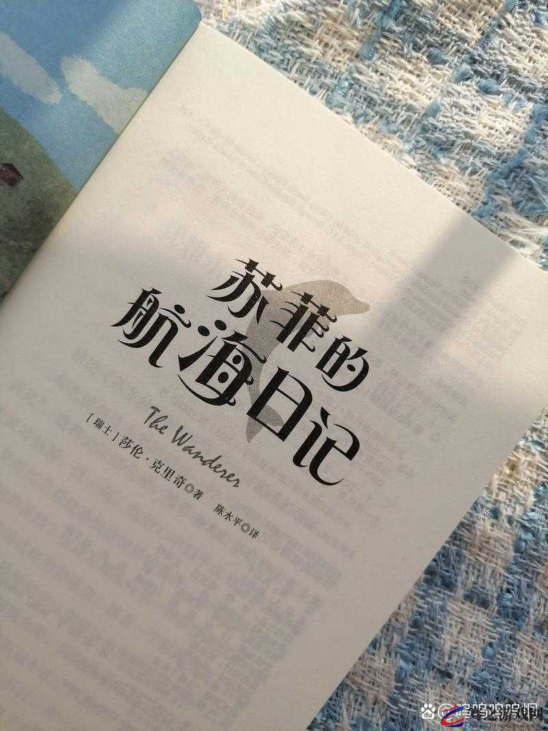 航海日志，一场关于红木探寻的奇幻之旅与文化探索