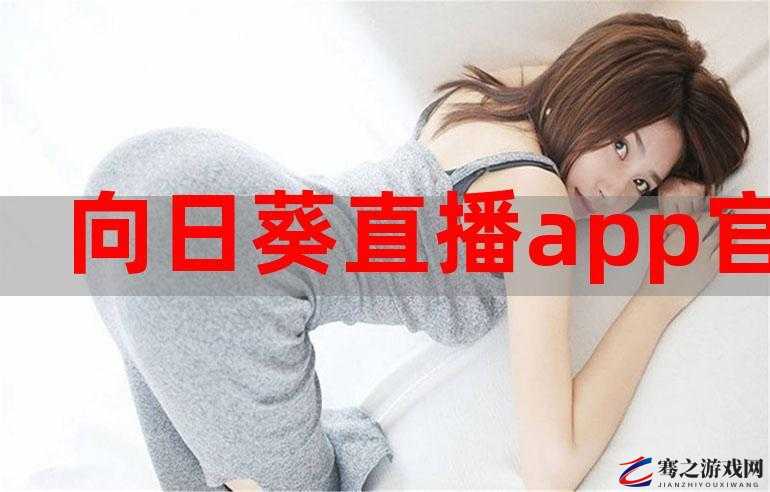 91gbapp ：带来全新便捷高效的应用体验