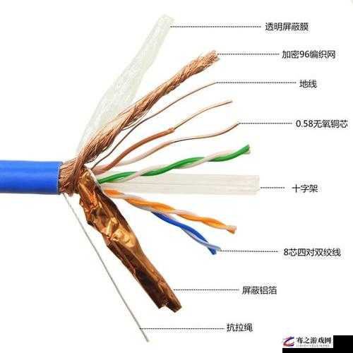 屏蔽是什么意思以及它在不同场景中的具体表现和影响