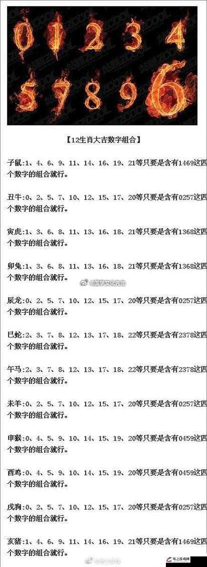 久久1024：一个具有独特意义的数字组合