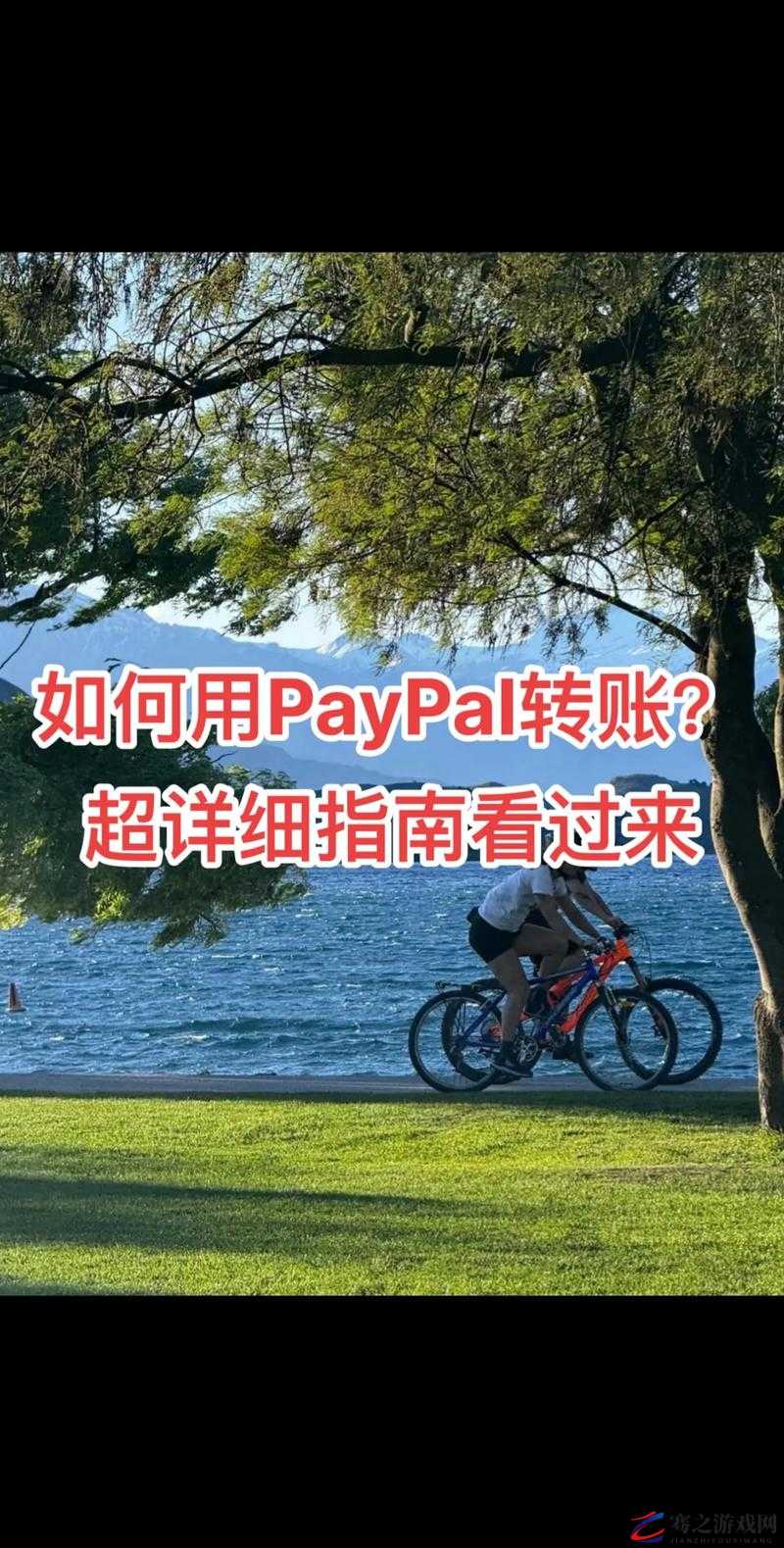 Paypal 未满十八岁怎么开：详细解读与操作指南