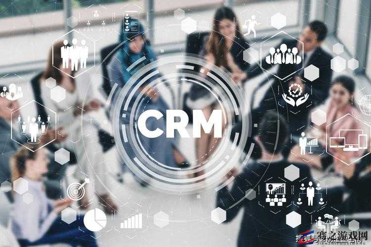 国内永久成免费 CRM 系统突然翻红：探究背后原因与未来走向